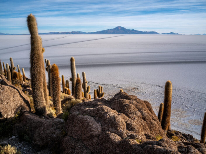 Noord-Chili en Salar de Uyuni Bolivia